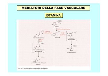 Antistaminici H1