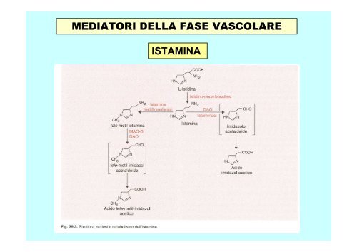 Antistaminici H1