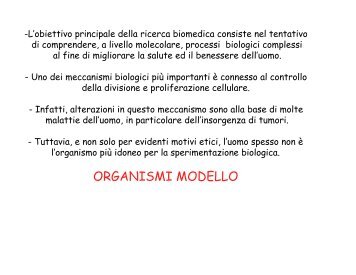 Il Lievito mammifero onorario - CusMiBio - Università degli Studi di ...