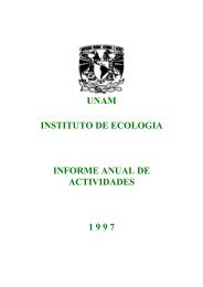 unam instituto de ecologia informe anual de actividades 1 9 9 7