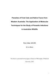 Parasites of Feral Cats and Native Fauna from Western Australia ...