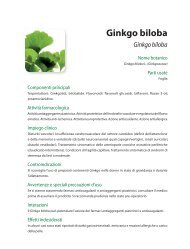 Ginkgo biloba - Piante medicinali