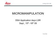 MICROMANIPULATION - Meyer Instruments, Inc.