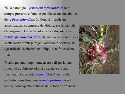 Patologia Osteoarticolare - Dipartimento di Farmacia