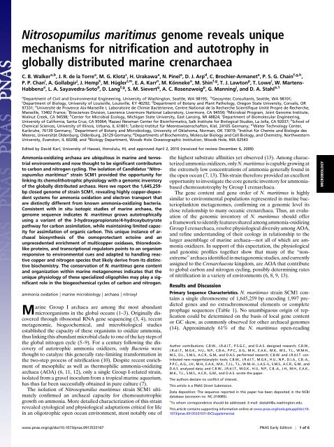 Nitrosopumilus maritimus genome reveals unique - de la Torre ...