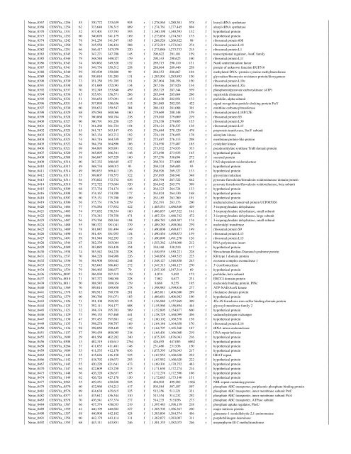 Nitrosopumilus maritimus genome reveals unique - de la Torre ...