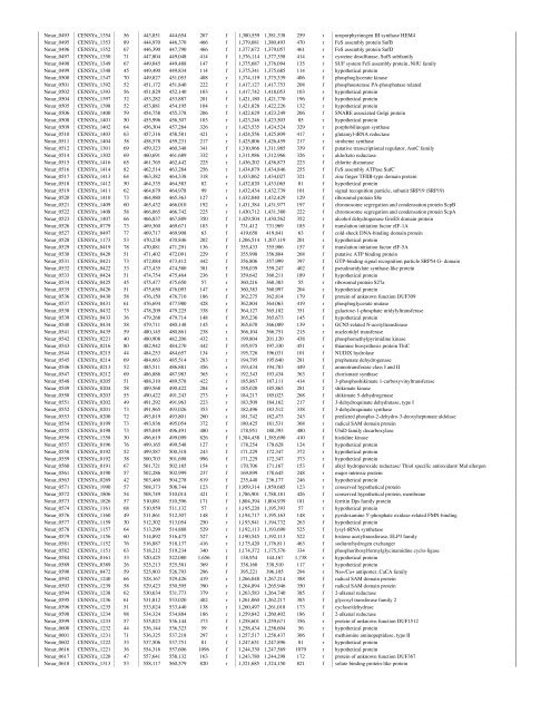 Nitrosopumilus maritimus genome reveals unique - de la Torre ...