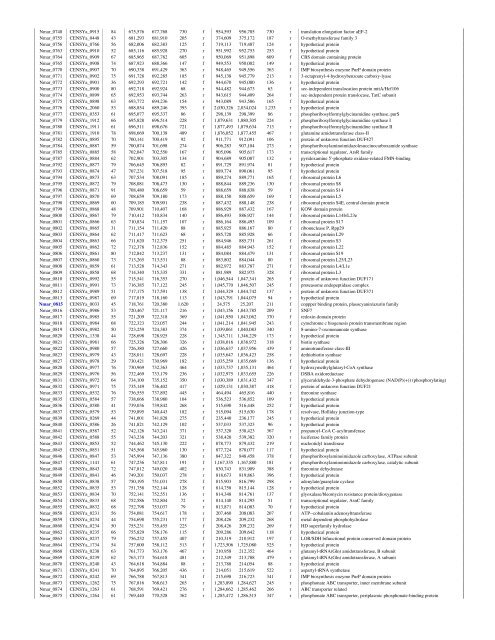 Nitrosopumilus maritimus genome reveals unique - de la Torre ...