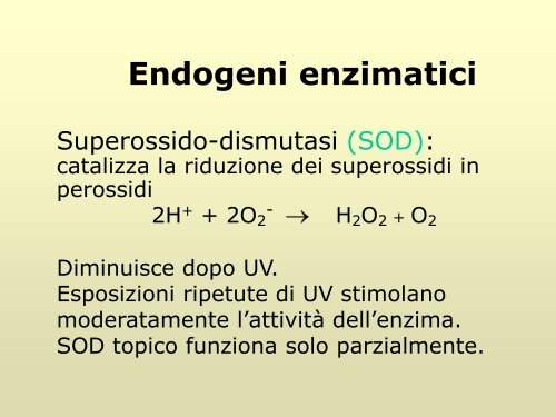 Fotoprotezione sistemica - M. Guarrera - Dermatology Research