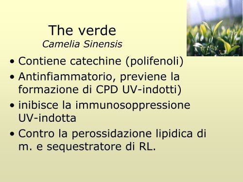 Fotoprotezione sistemica - M. Guarrera - Dermatology Research