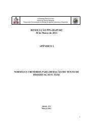 apendice 1 resolucao 002 normas - BAIP - Universidade Federal do ...