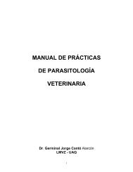 595 2667 Manual de P..