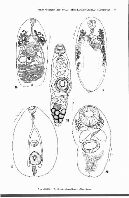 Comparative Parasitology 67(1) 2000 - Peru State College