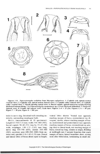 Comparative Parasitology 67(1) 2000 - Peru State College