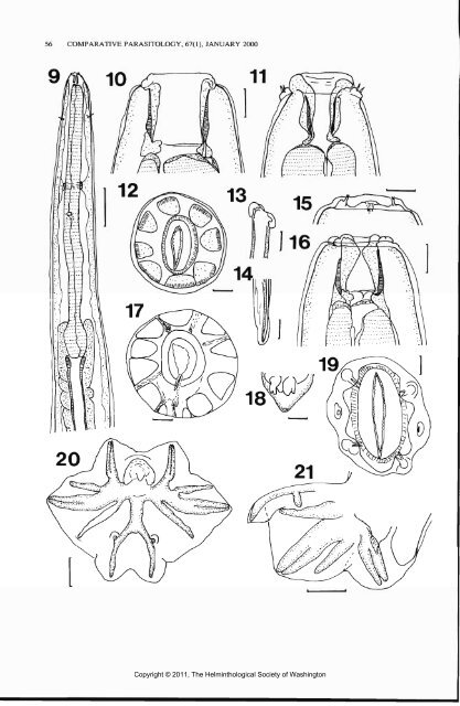 Comparative Parasitology 67(1) 2000 - Peru State College