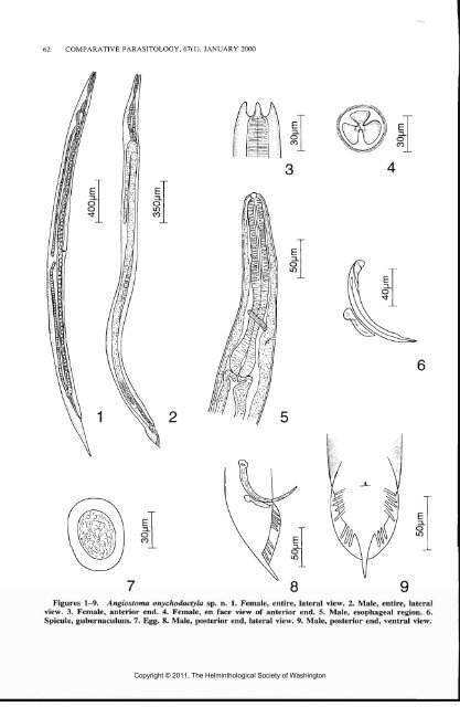 Comparative Parasitology 67(1) 2000 - Peru State College