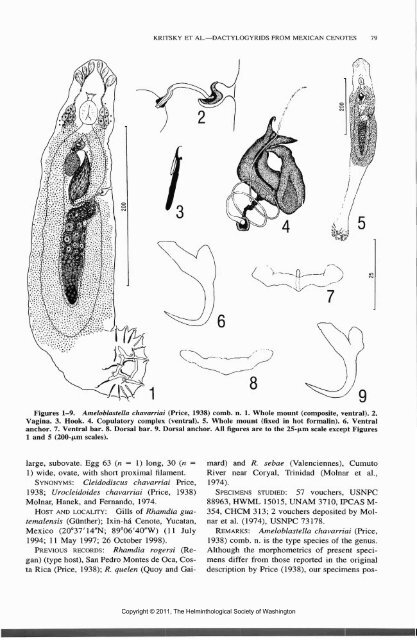 Comparative Parasitology 67(1) 2000 - Peru State College