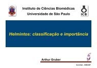 Helmintos: classificação e importância - USP