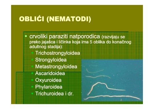 OBLIĆI (NEMATODI)