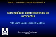 Estrongilídeos gastrointestinais de ruminantes - USP