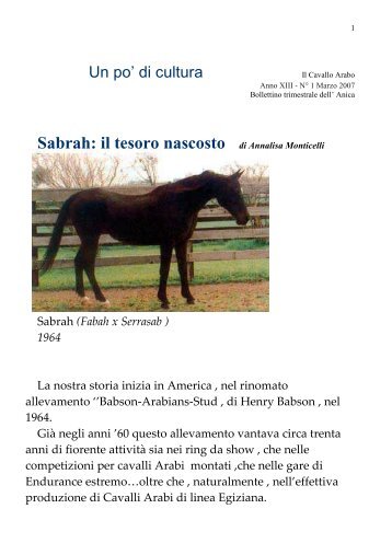 Sabrah: il tesoro nascosto Il Cavallo Arabo Anno XIII - N° 1 Marzo ...