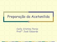 Preparação da Acetanilida LIC 2004 - cempeqc - Unesp
