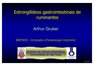 Estrongilídeos gastrointestinais de ruminantes - USP