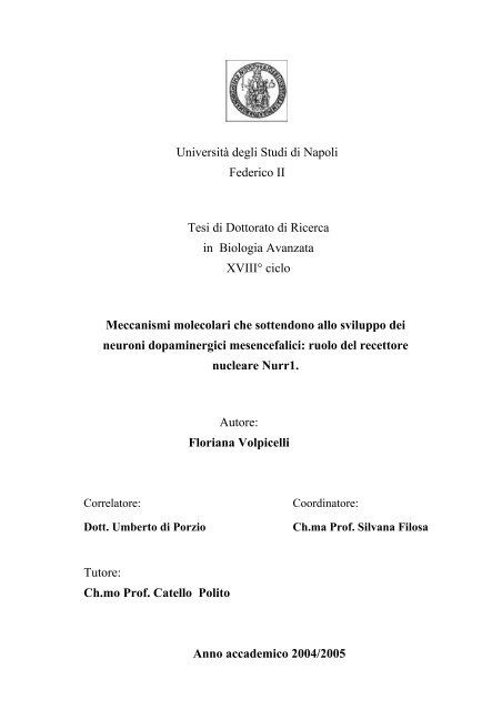 Velocità datazione MD DC