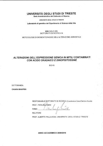 TESI_RIASSUNTO_dottorato_CM_no pap.pdf - OpenstarTs ...