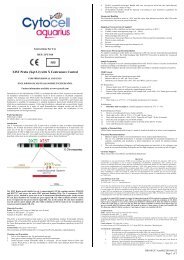 XIST Probe (Xq13.2) with X Centromere Control - AmpliTech