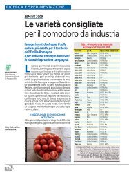 Le varietà consigliate per il pomodoro da industria - Crpv