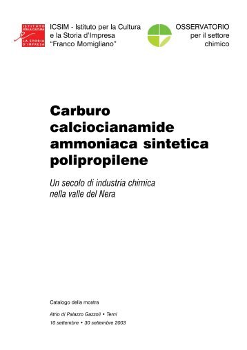 Carburo calciocianamide ammoniaca sintetica polipropilene. Un ...