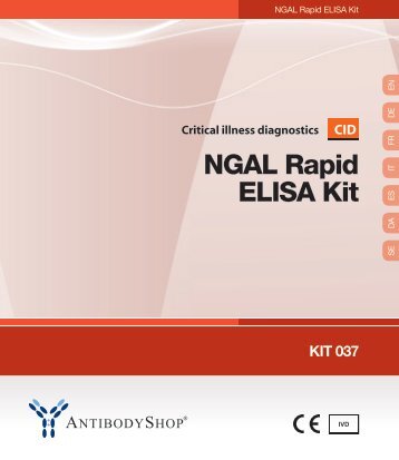 NGAL Rapid ELISA Kit