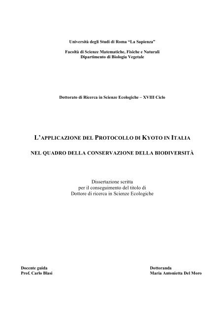 TESI MA Del Moro - Padis - Sapienza