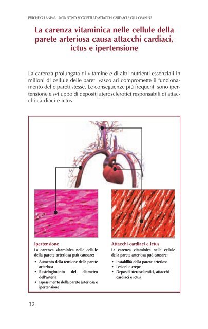 Perchè gli animali non sono soggetti ad attacchi cardiaci -Dr. M.Rath