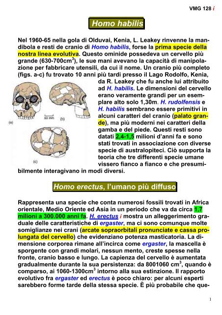 02 Vertebrati (parte 4) - Scienze della terra