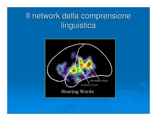 Basi neurocognitive del linguaggio - Dipartimento di Fisica