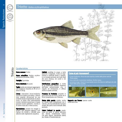 Le Specie Autoctone - Provincia di Treviso - Pesca