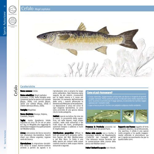 Le Specie Autoctone - Provincia di Treviso - Pesca