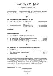 Haushaltssatzung der Gemeinde Berkenthin für ... - Amt Berkenthin