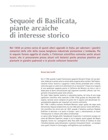 Sequoie di Basilicata, piante arcaiche di interesse storico