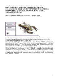 Esigenze ecologiche invertebrati - Regione Umbria - Agricoltura e ...