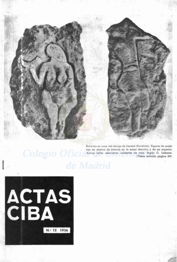 Actas Ciba en PDF - CODEM