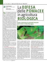 La difesa delle pomacee in agricoltura biologica - Crpv