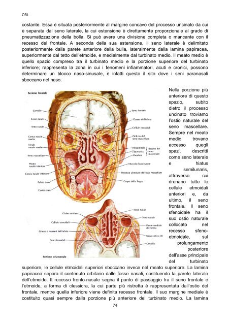 Appunti di ORL COSIMATO COSIMO, RUSSO ... - mediciunisa.it