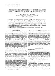 physicochemical properties of montmorillonite interlayered