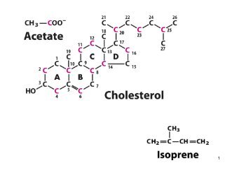 Metabolismo del colesterolo e delle lipoproteine