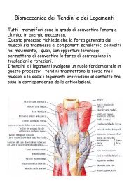 Biomeccanica dei Tendini e dei Legamenti - Masteringegneriaclinica.it