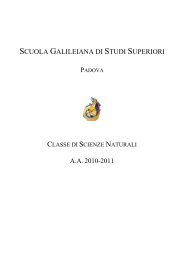 Brochure didattica a.a. 2010-2011 - Scuola Galileiana di Studi ...