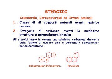 2-9 ormoni steroidei [modalità compatibilità] - Scuola1024